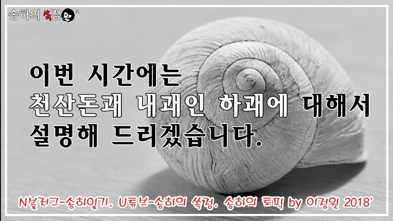 #114. 천산돈 내괘에 대해 알려드립니다!