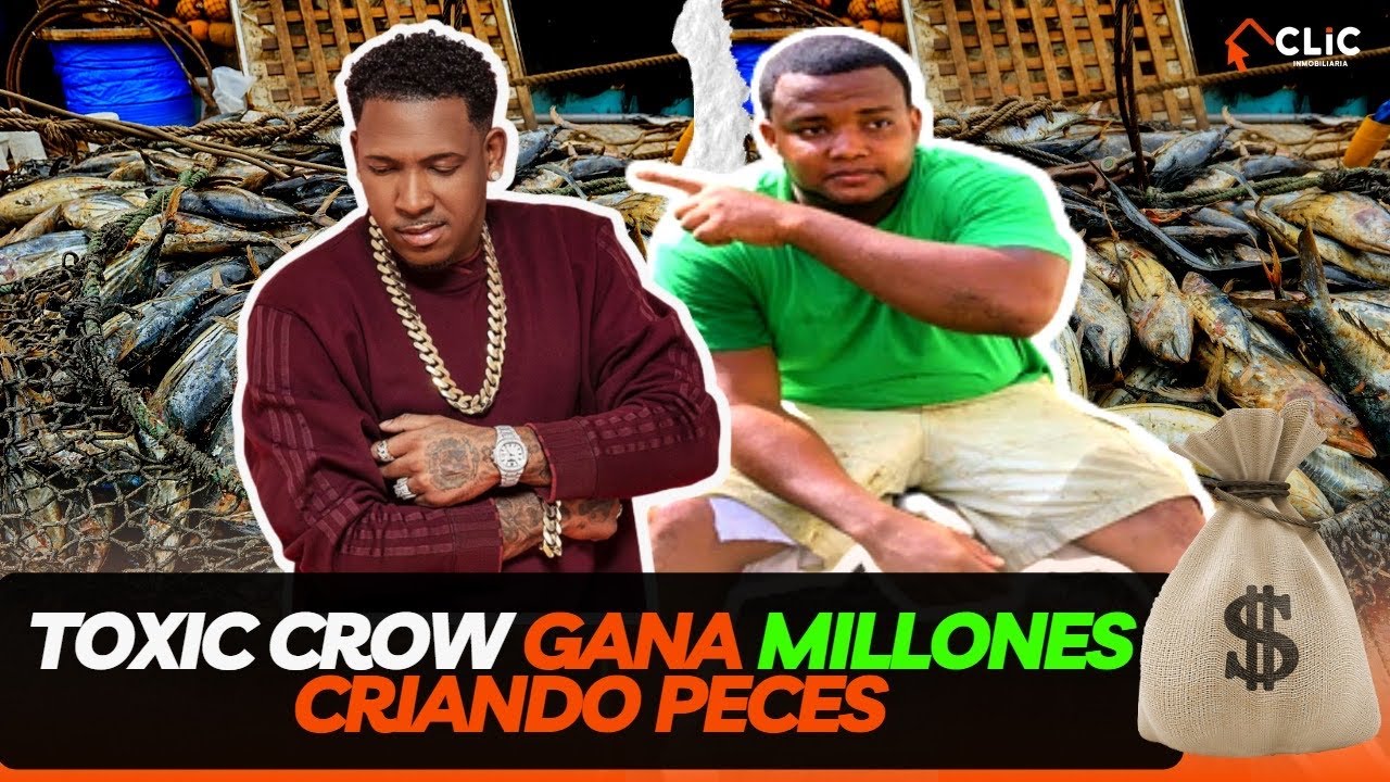 TOXIC CROW gana 💲4.000.000 criando Tilapias 🐟 conoce el Estanque  MILLONARIO 💰🤑