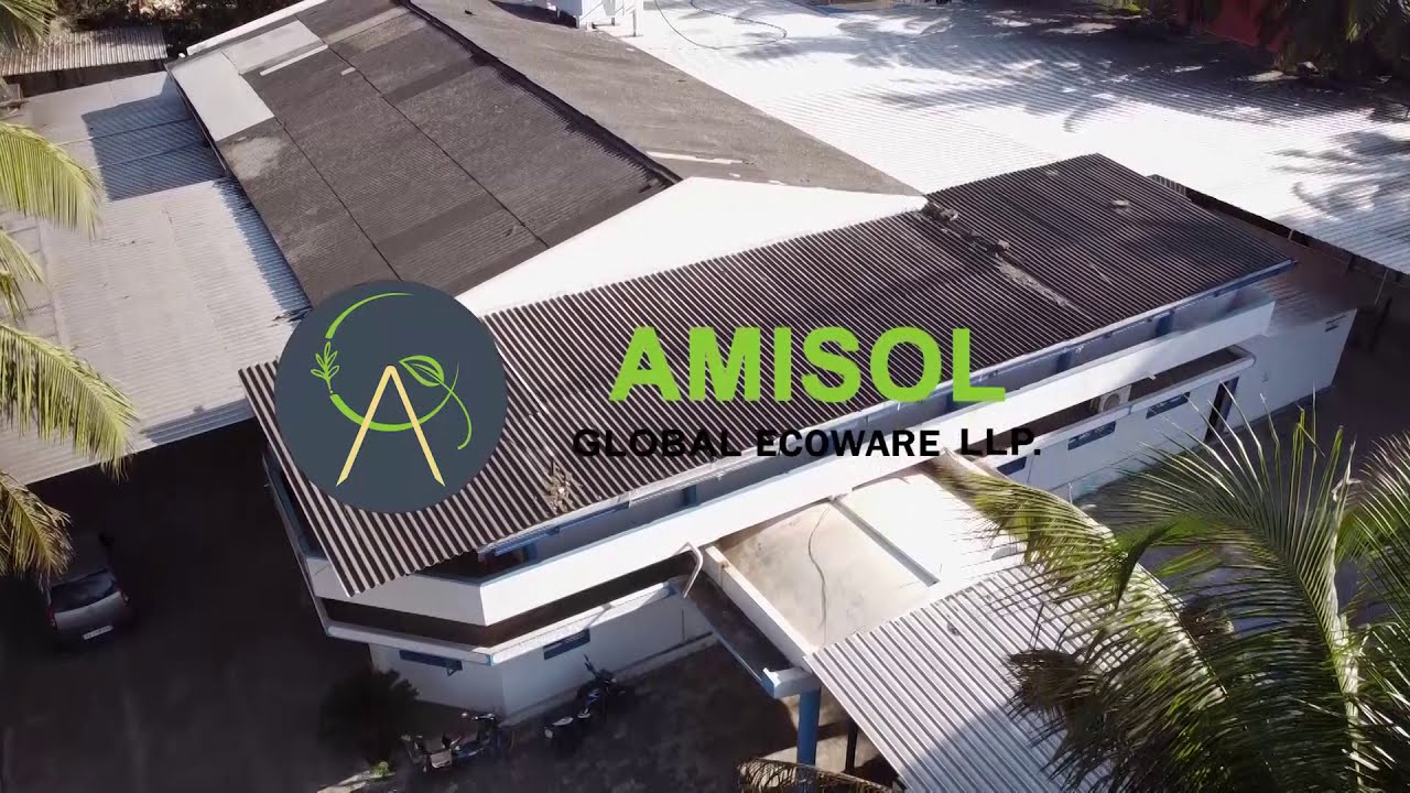 Amisol Palm Leaf Plates