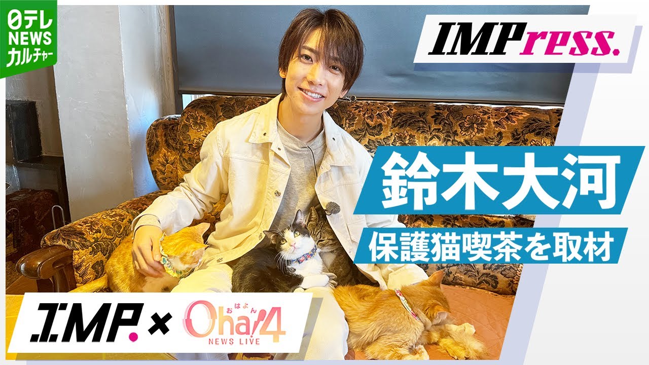 【IMP.鈴木大河】IMPress. #6 保護猫と触れ合い共に生きるミライを考える｜Oha!4 NEWS LIVE