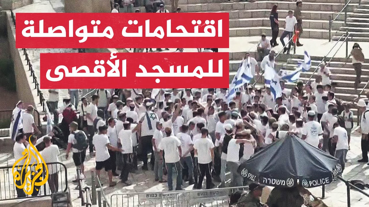 شاهد| مستوطنون يؤدون 