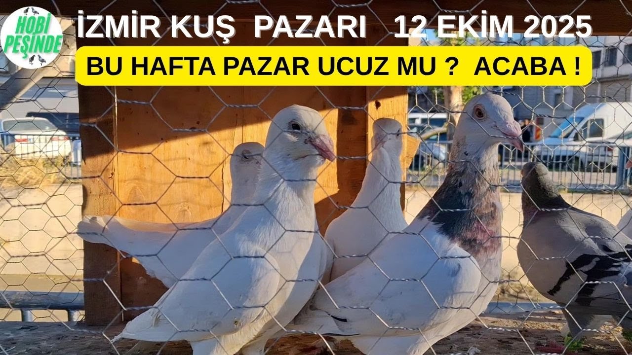 İzmir Kuş Pazarı #19 Bu Hafta Pazar Ucuz mu ? Acaba ! #izmirkuşpazarı 