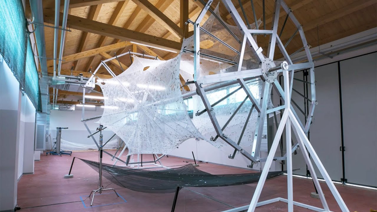 SILK PAVILION II - Quando i bachi filano la seta italiana per il MoMA di New York...