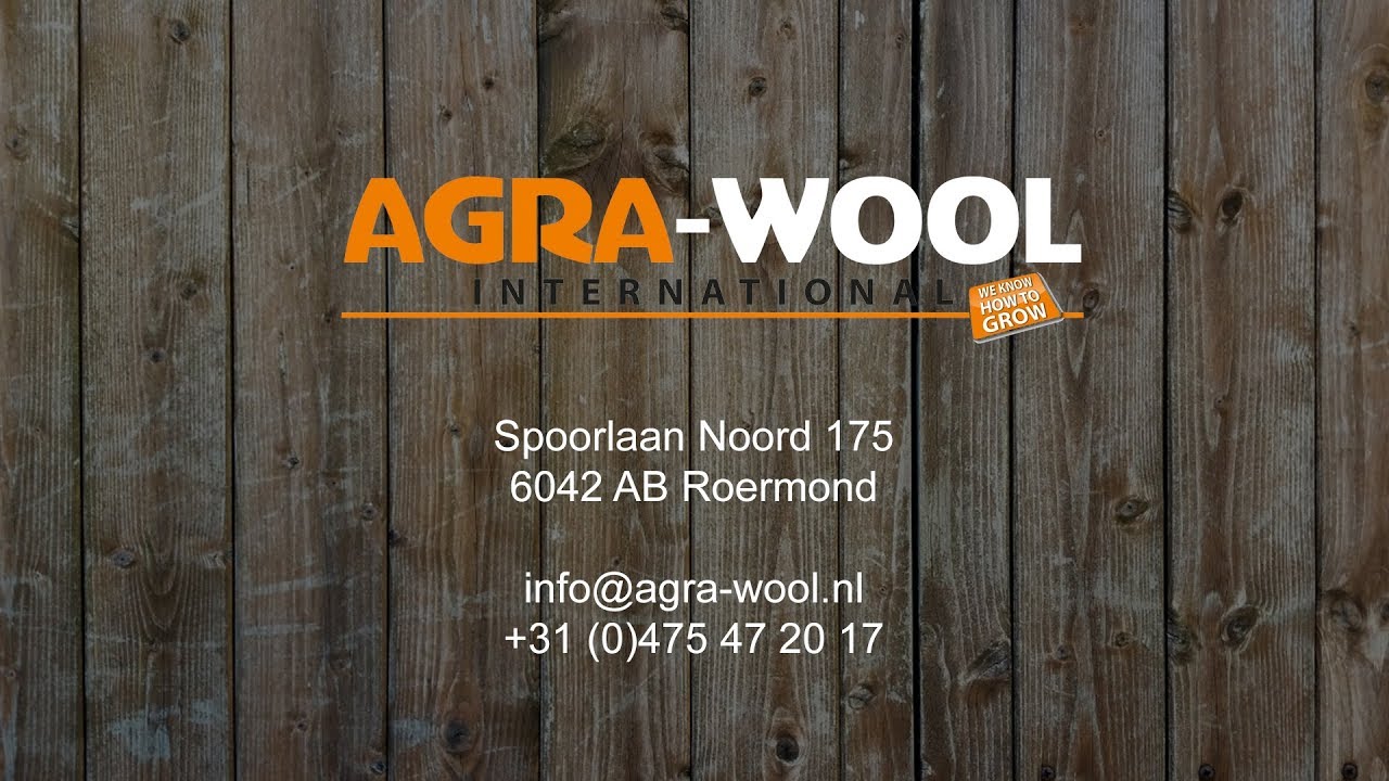 Agra Wool Floral Foam Fresh Flowers