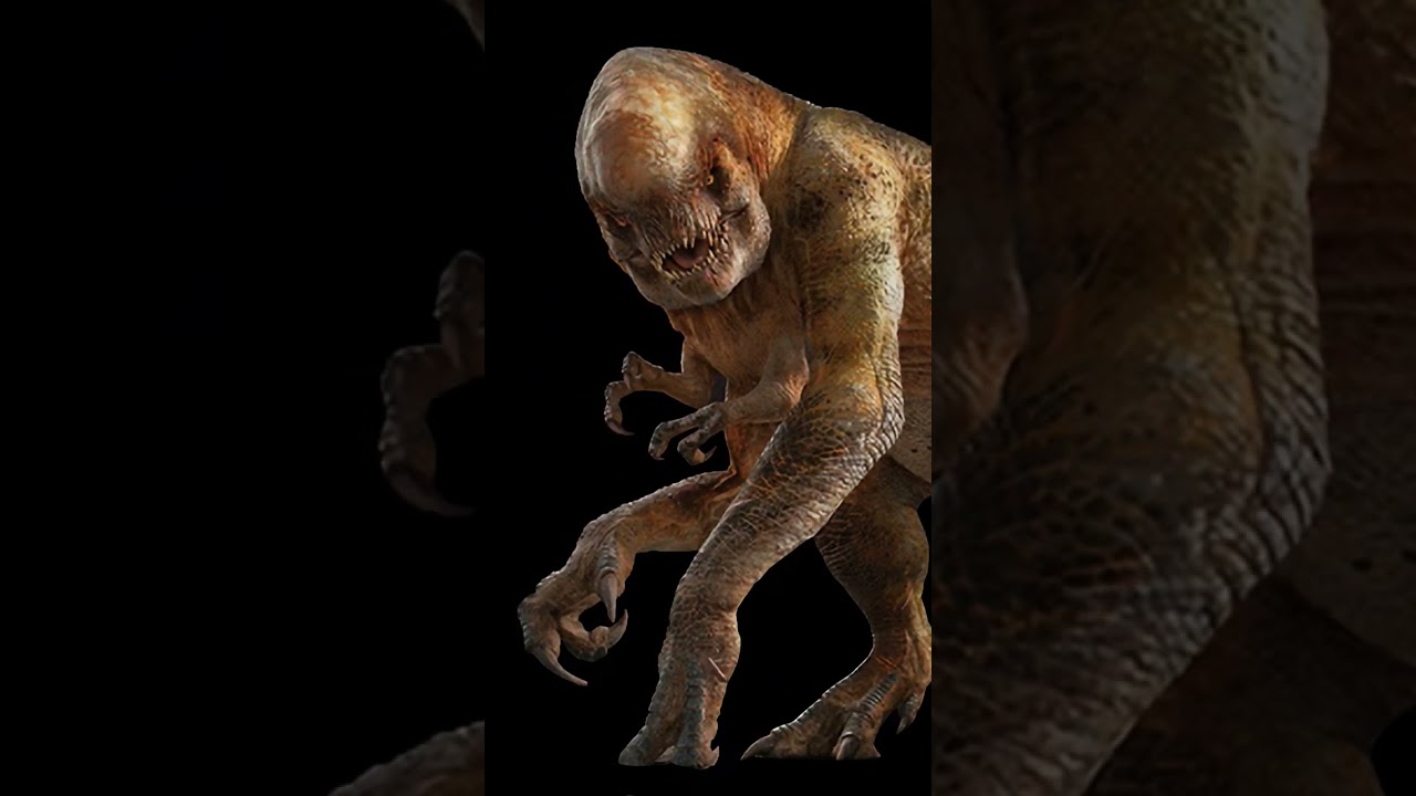 who wins darcy or distordus rex