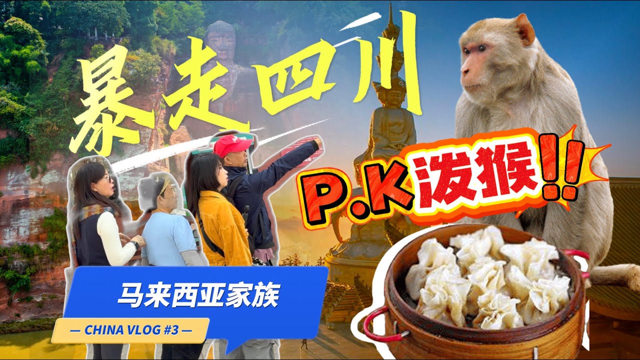 现实版花果山？马来西亚游客凌晨爬峨眉山，被猴群围观有多爽？峨眉山｜乐山｜中国四川自驾游第三集 China vlog