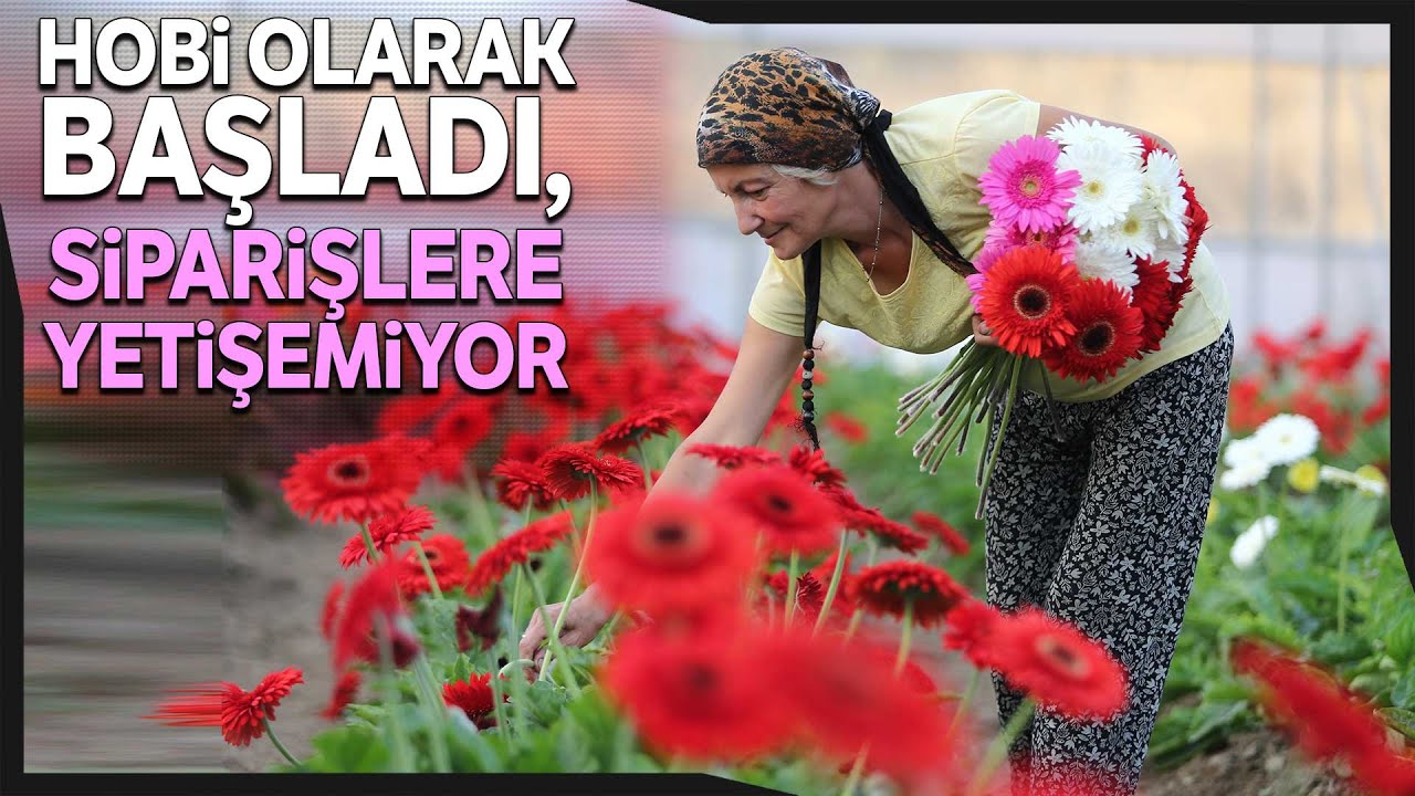 Hobi Olarak Çiçekçiliğe Başladı, Kurduğu Seralarda Taleplere Yetişemiyor