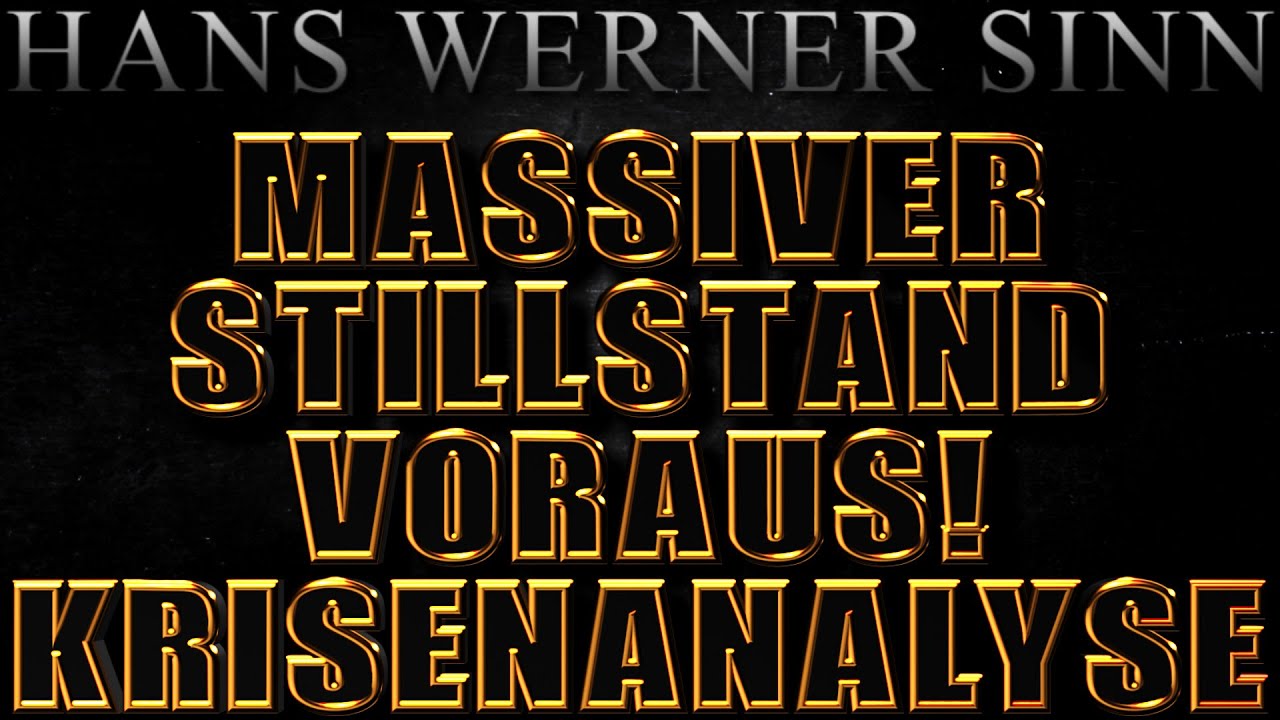 HANS WERNER SINN MASSIVER STILLSTAND VORAUS! PROGNOSE & KRISENANALYSE wasser