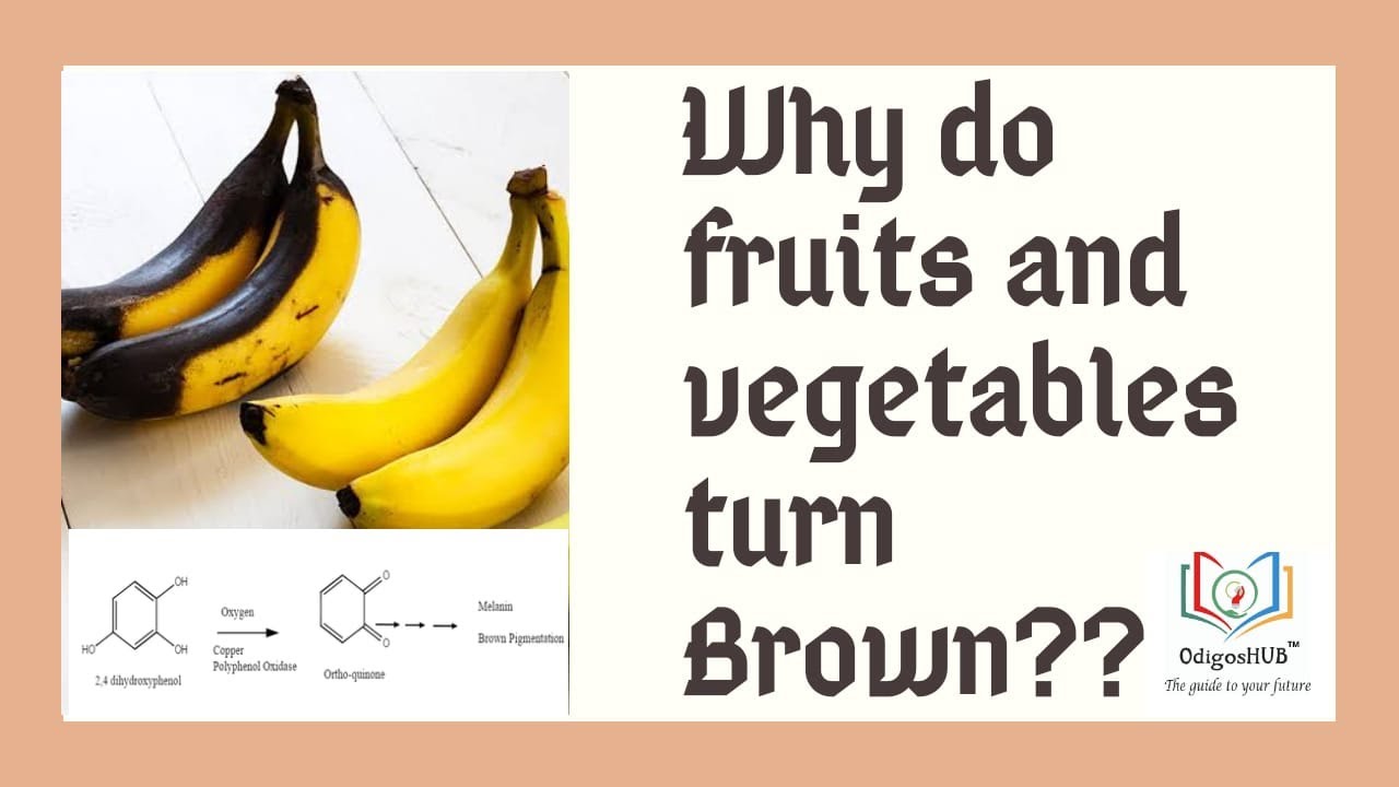 Why do the  fruits and vegetables turn brown ?? Enzymatic Browning|