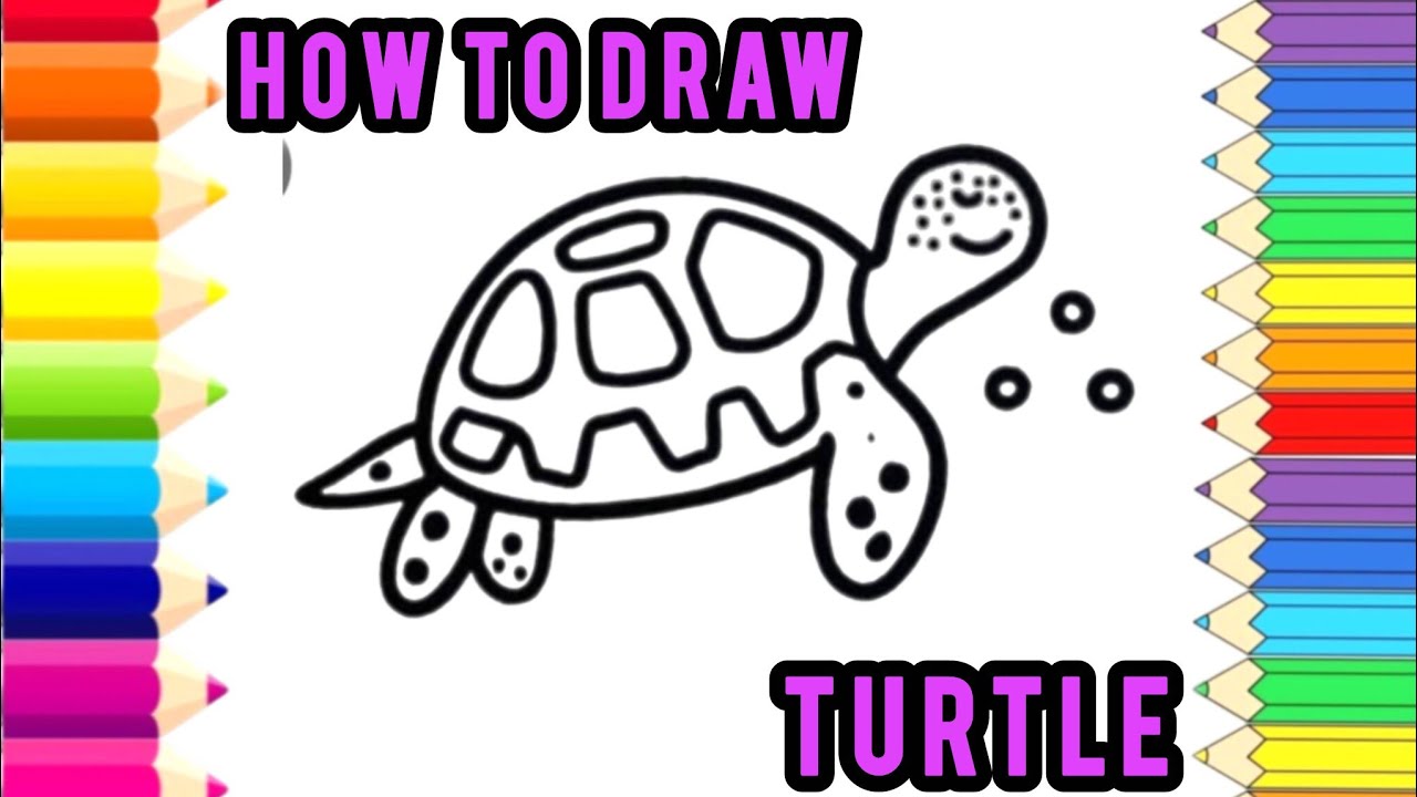 How to Draw a Cute turtle | step by Step Easy Tutorial 