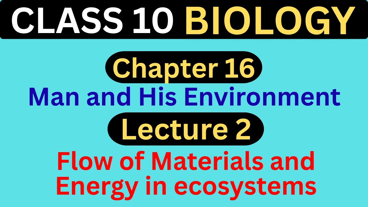 Flow of Materials and Energy in ecosystems | Chapter 16 - Lecture 2 | Class 10 Biology