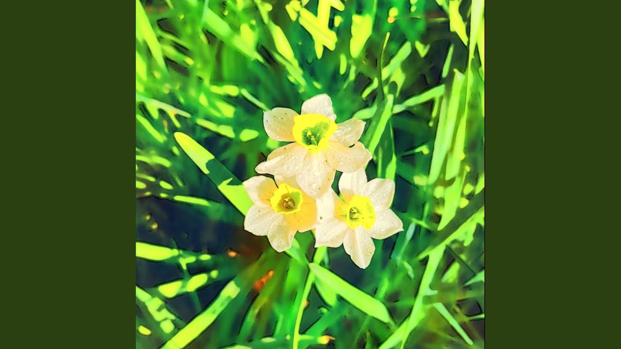 Water Droplets On A Blade Of Grass