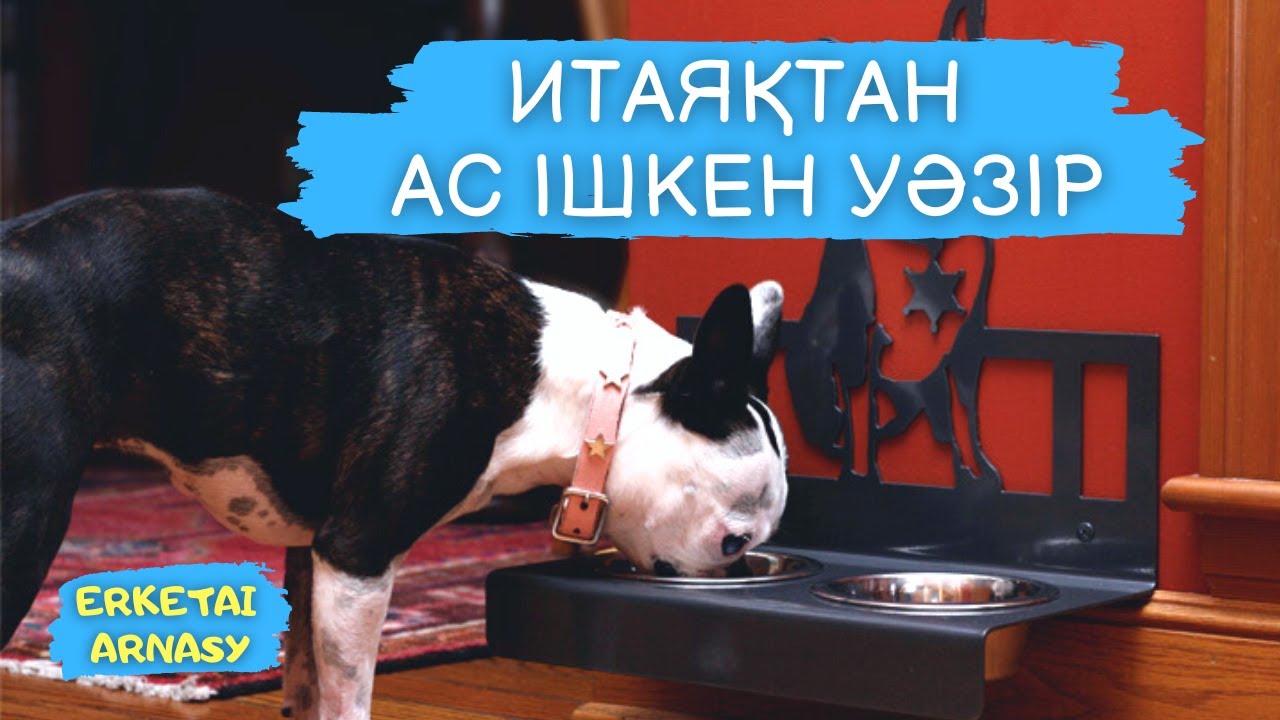 Итаяқтан ас ішкен уәзір