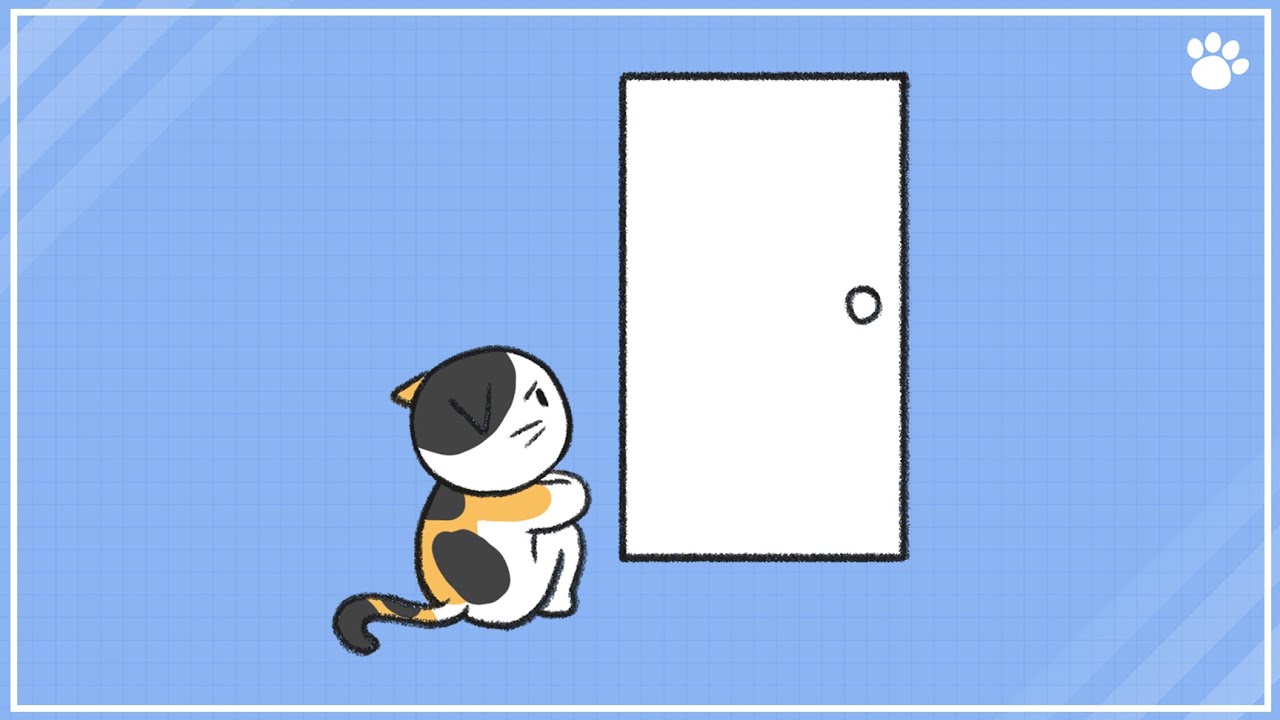 Тревога разлуки с кошкой и как вы можете помочь | Советы BEMYPET