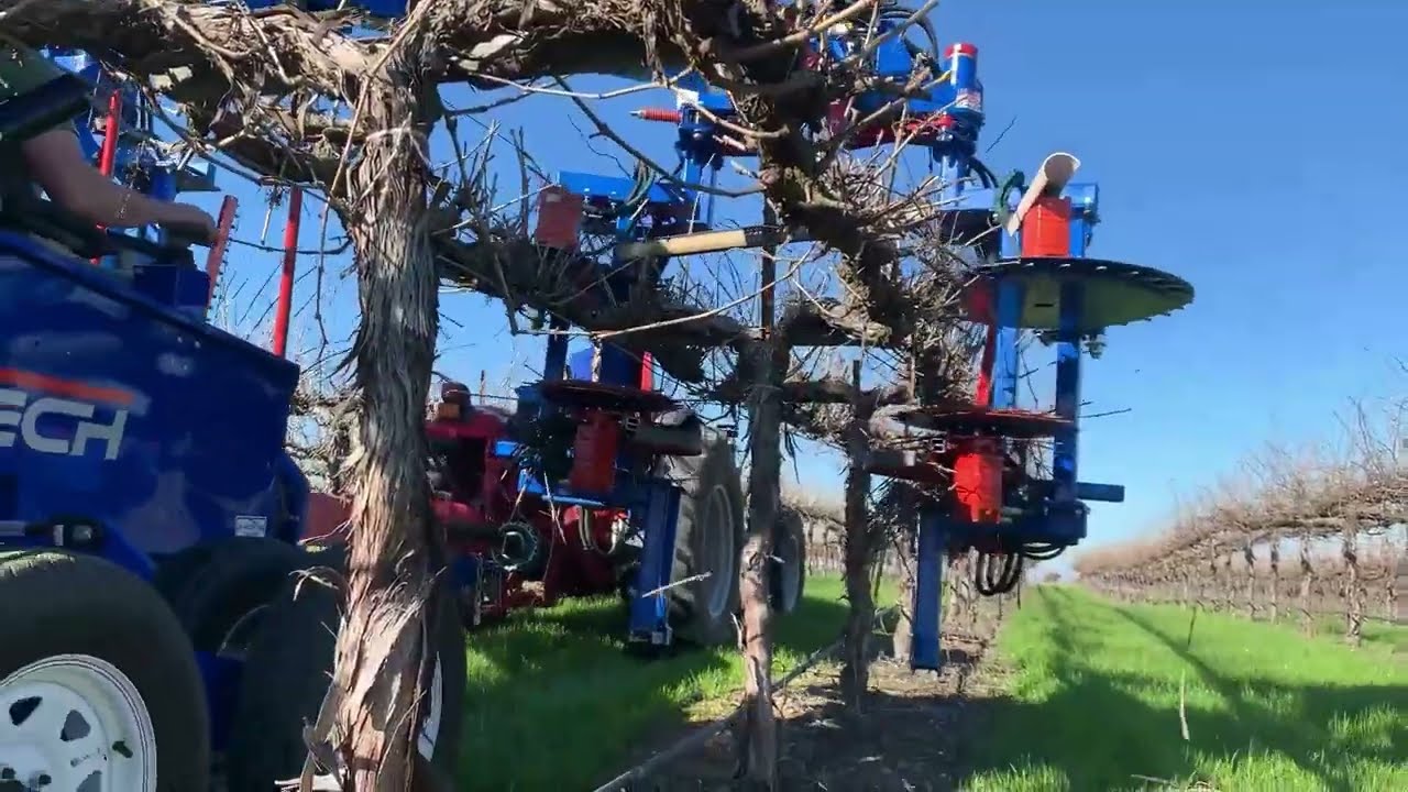 Oxbo Mechanized Vineyard Pruning
