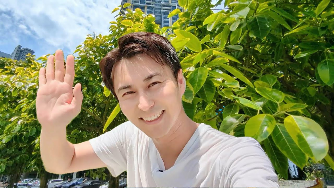 【もはや観葉植物じゃない！】大人気のフィカス・アルテシマの育て方【観葉植物】【ガーデニング】【原産地】