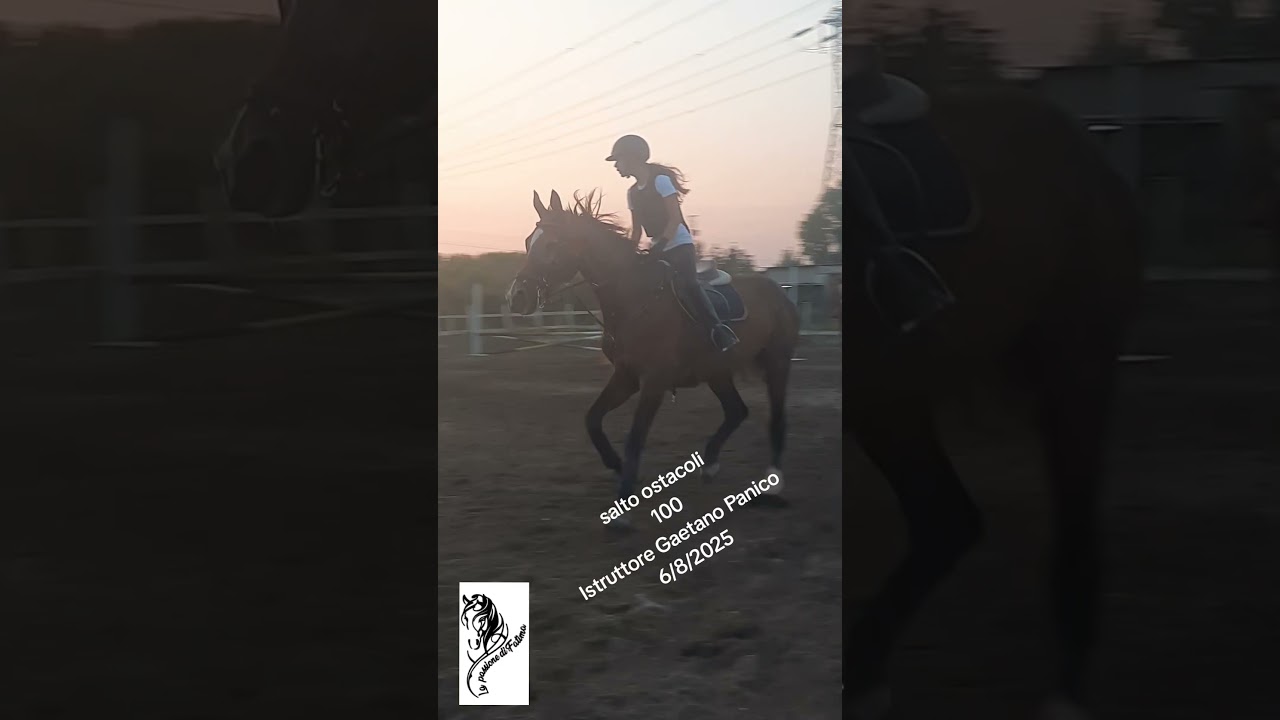 La passione di Fatima salto ostacoli 100