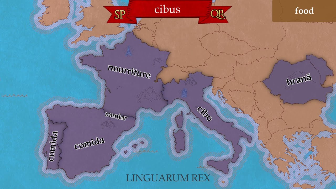 Food & Drink Terms | Romance Languages Compared To Latin