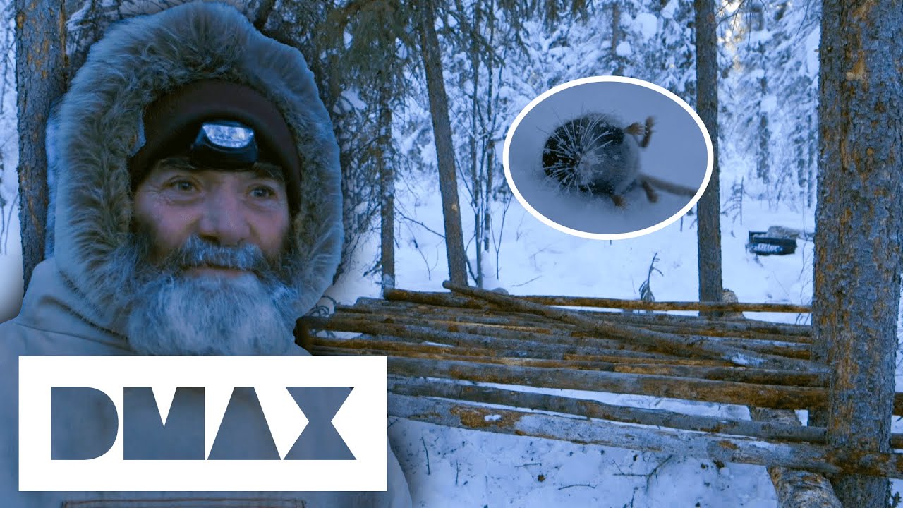 Alaskan Starts Building A Log Cabin In Freezing -38° Temperature | The Last Alaskans