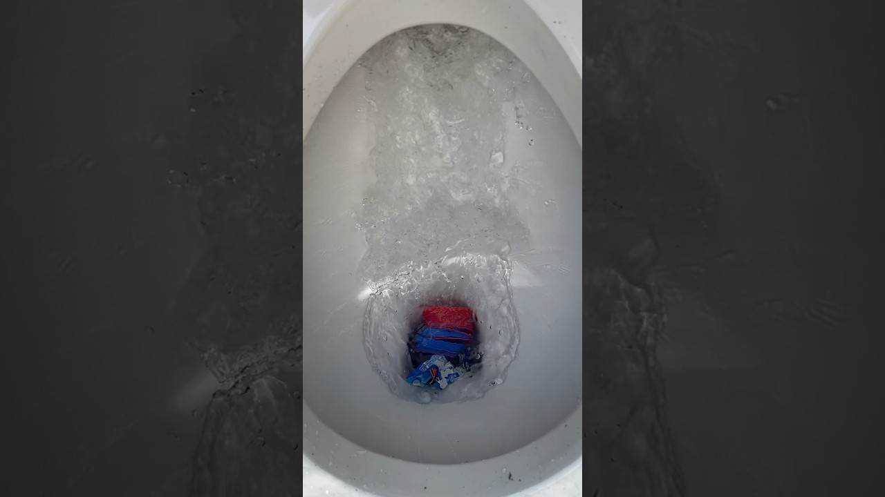 Flushing a slinky toy and an Oreo wrapper