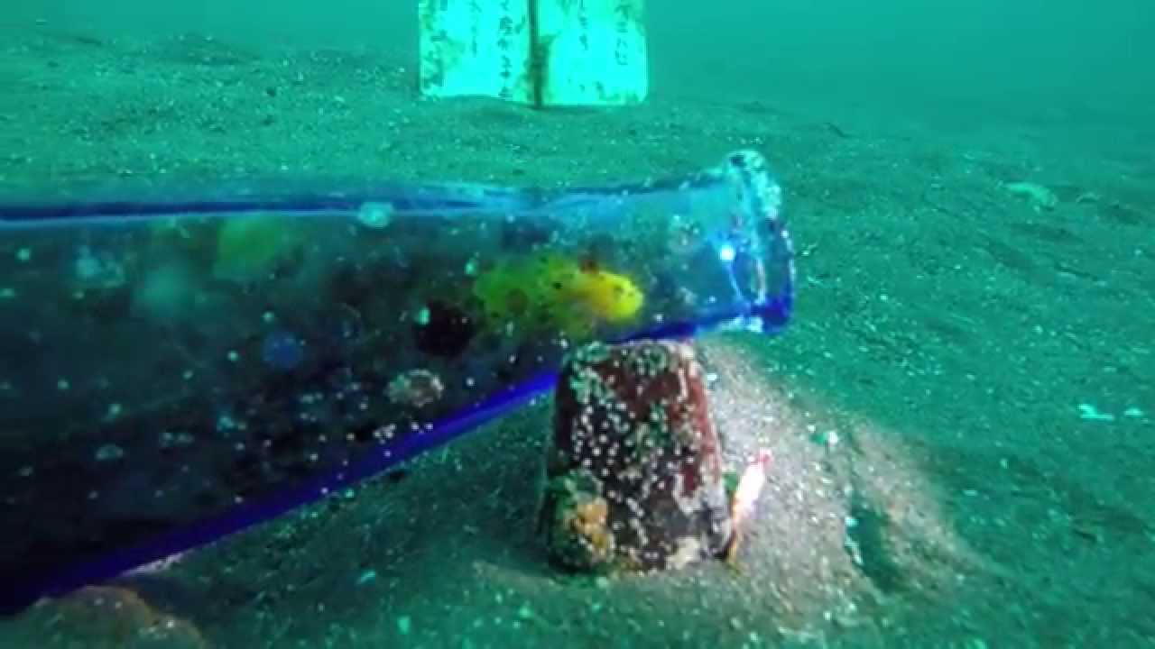 Rescue Diver course ! 「レスキューダイバーコース！」