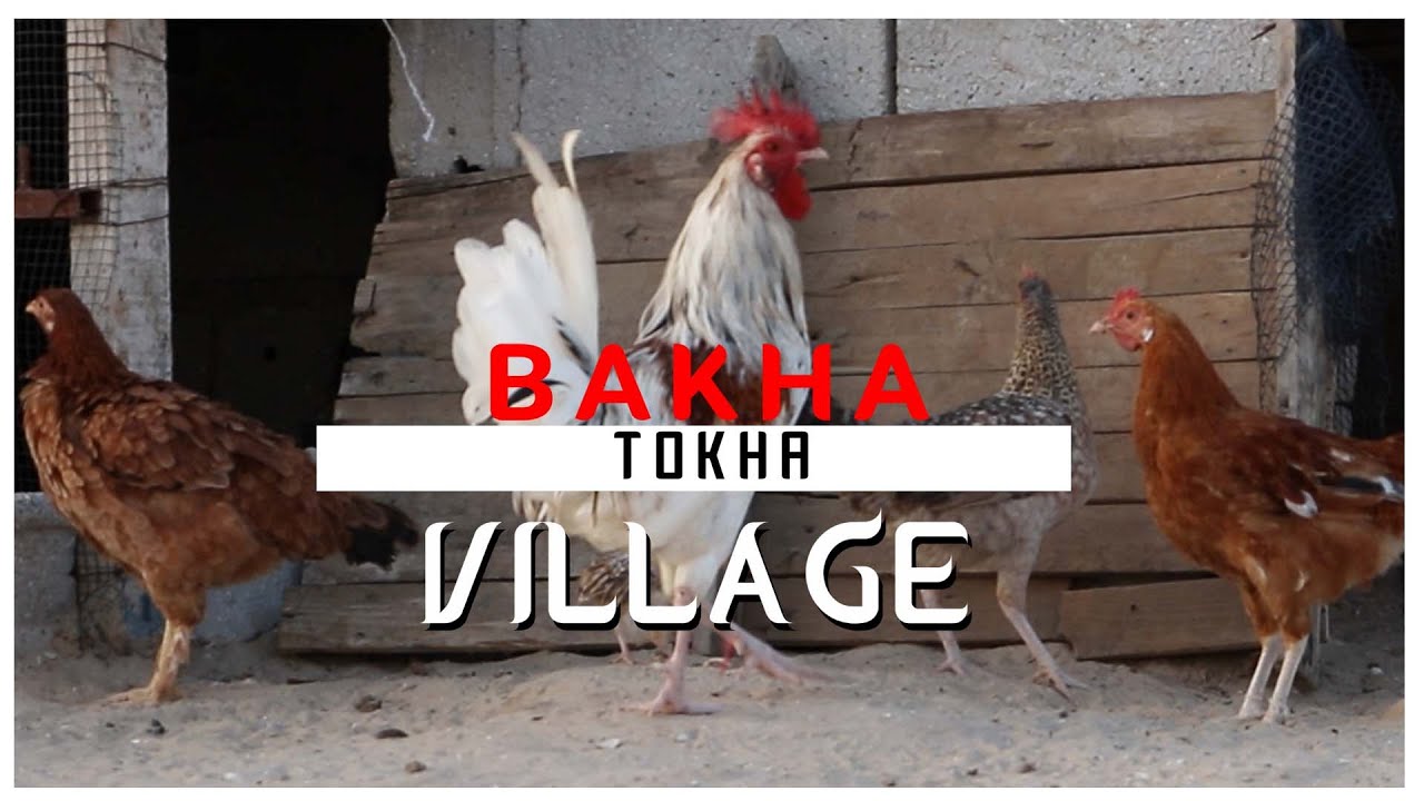 BAKHA TOKHA   VILLAGE CLIP OFFICIEL