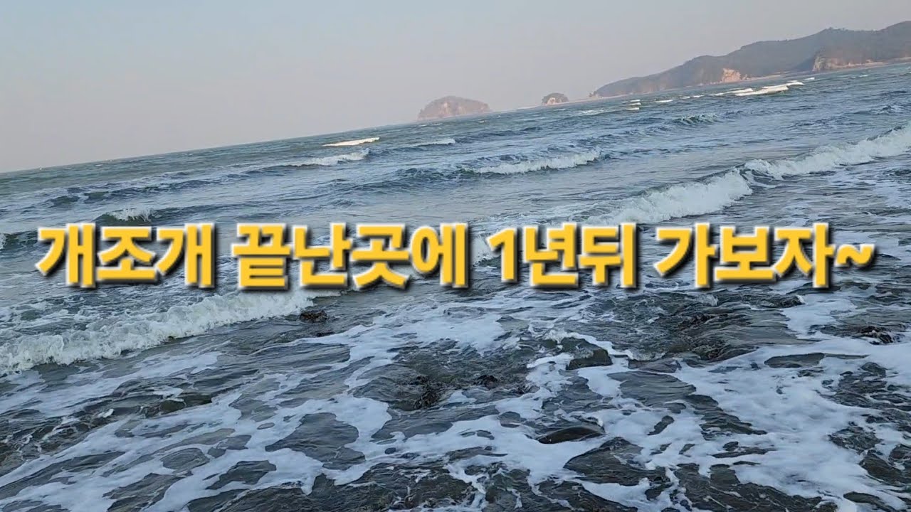 개조개! 끝난자리 1년뒤 가보니 대박!!