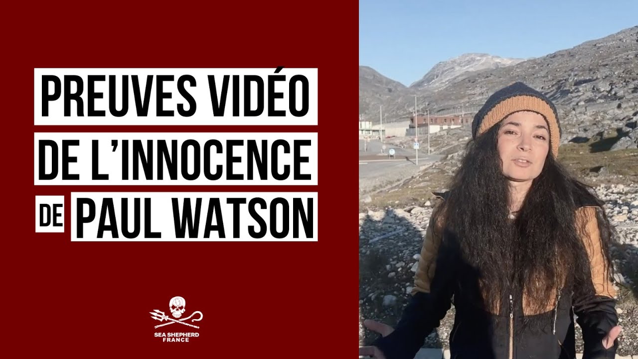 Affaire Paul Watson : le juge groenlandais décide de prolonger la détention jusqu'au 2 octobre