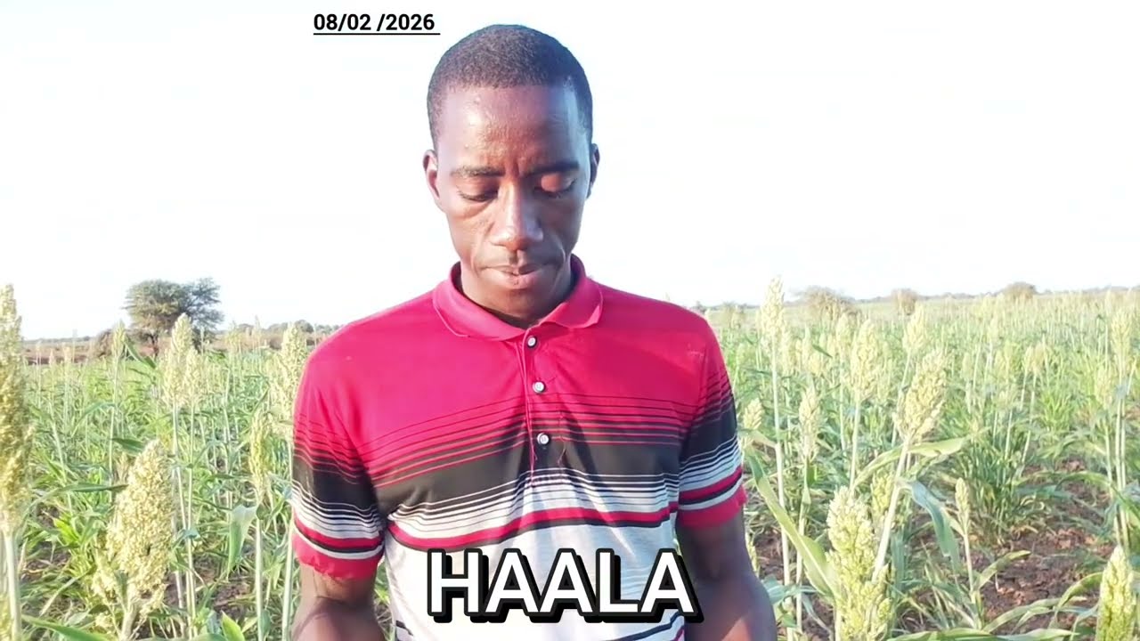 Giɗo Pulaar Fulfulde HAALA 