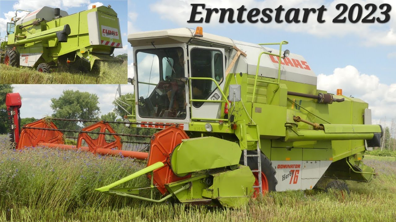 Oldtimerdreschen 2023/ Claas Dominator 76 im Einsatz/ Kornblumen ernten [Sound]