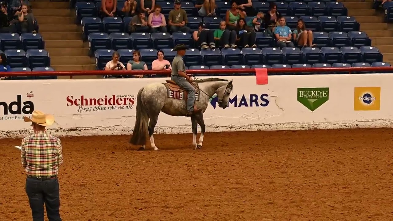 Ride the Pattern - Horsemanship (2024 APHA World Show)