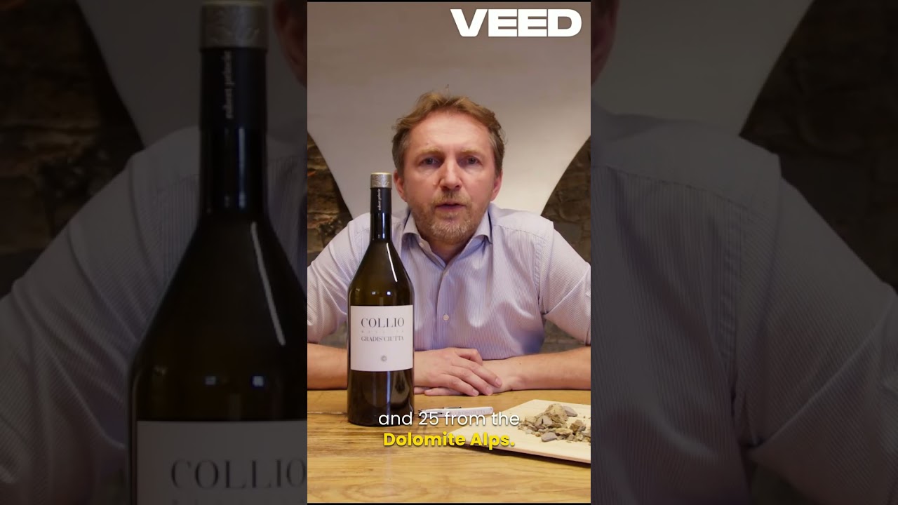 An Introduction to Collio (08/2024)
