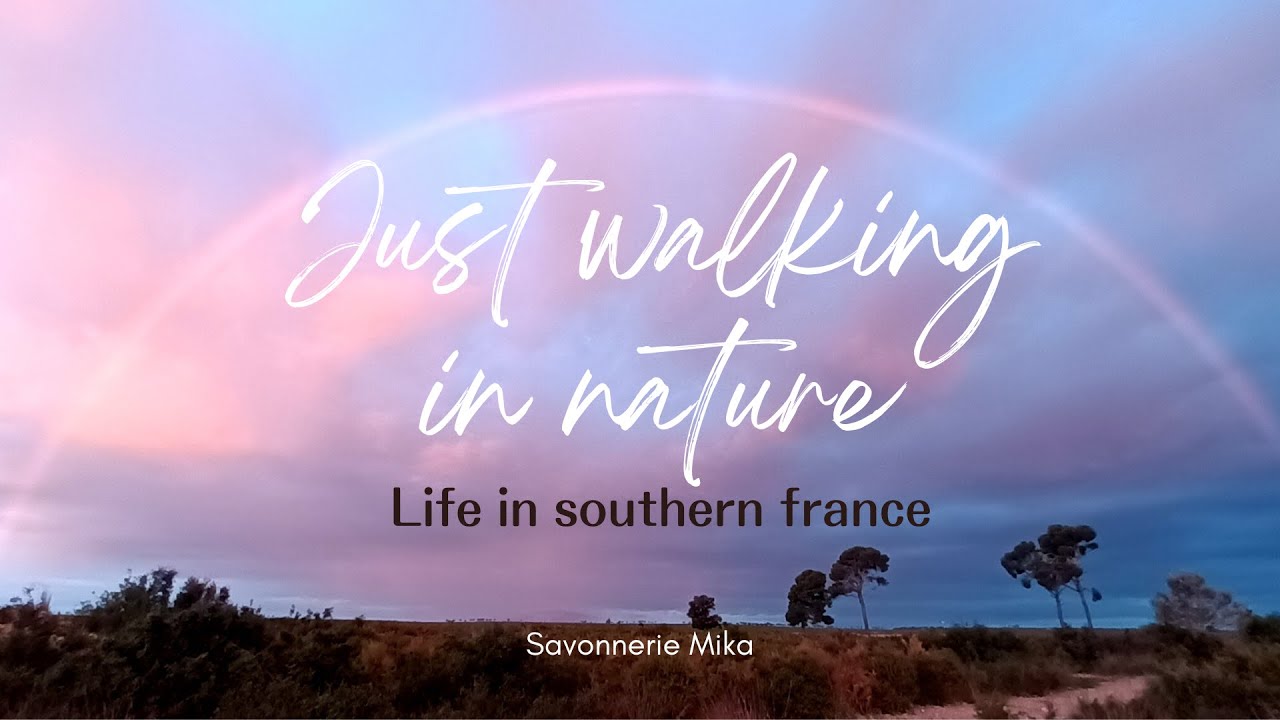 Walk on the plateau in Provence | Vlog 1| March