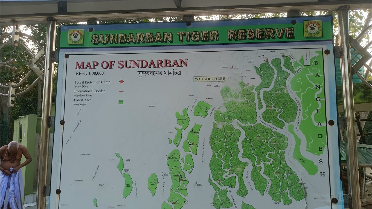 Sundarbans 2026 a Journey by Car to Gadkhali and then into the forest.