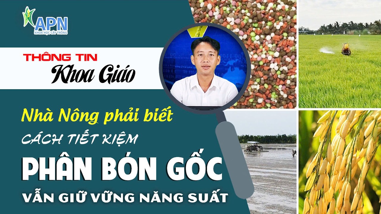 APN - CÁCH TIẾT KIỆM PHÂN BÓN GỐC | NHÀ NÔNG PHẢI BIẾT