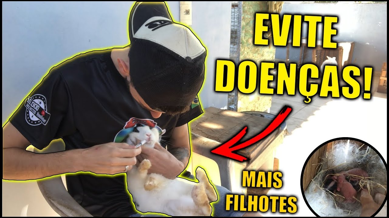 Aprenda a VERMIFUGAR seus COELHOS corretamente | Muito barato e EVITA INÚMERAS DOENÇAS