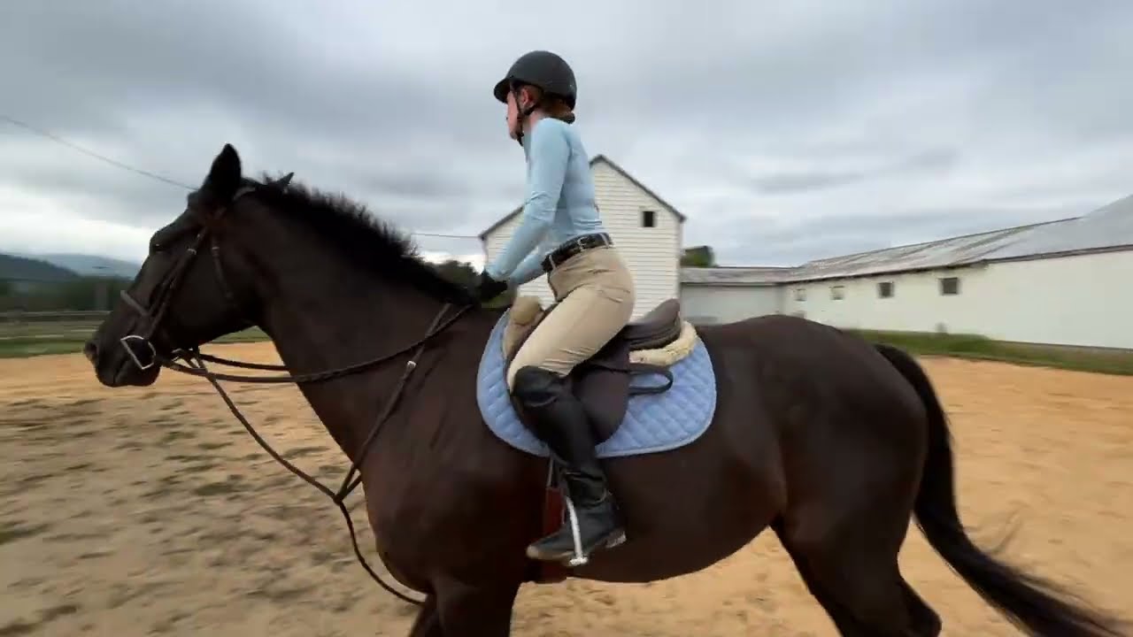 Katherine Sullivan Equestrian 2025