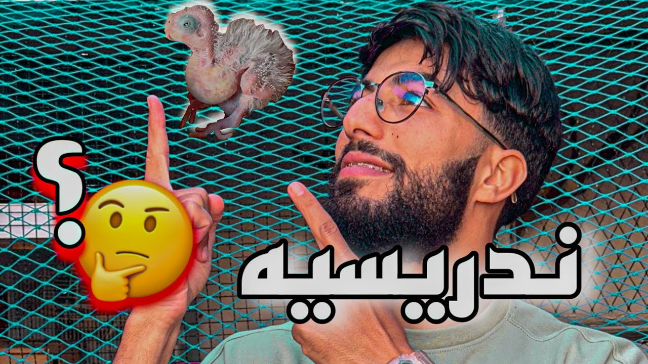 أخيراً فرخو طيور الكلوبسيت و الكاكريكي 😍🦜