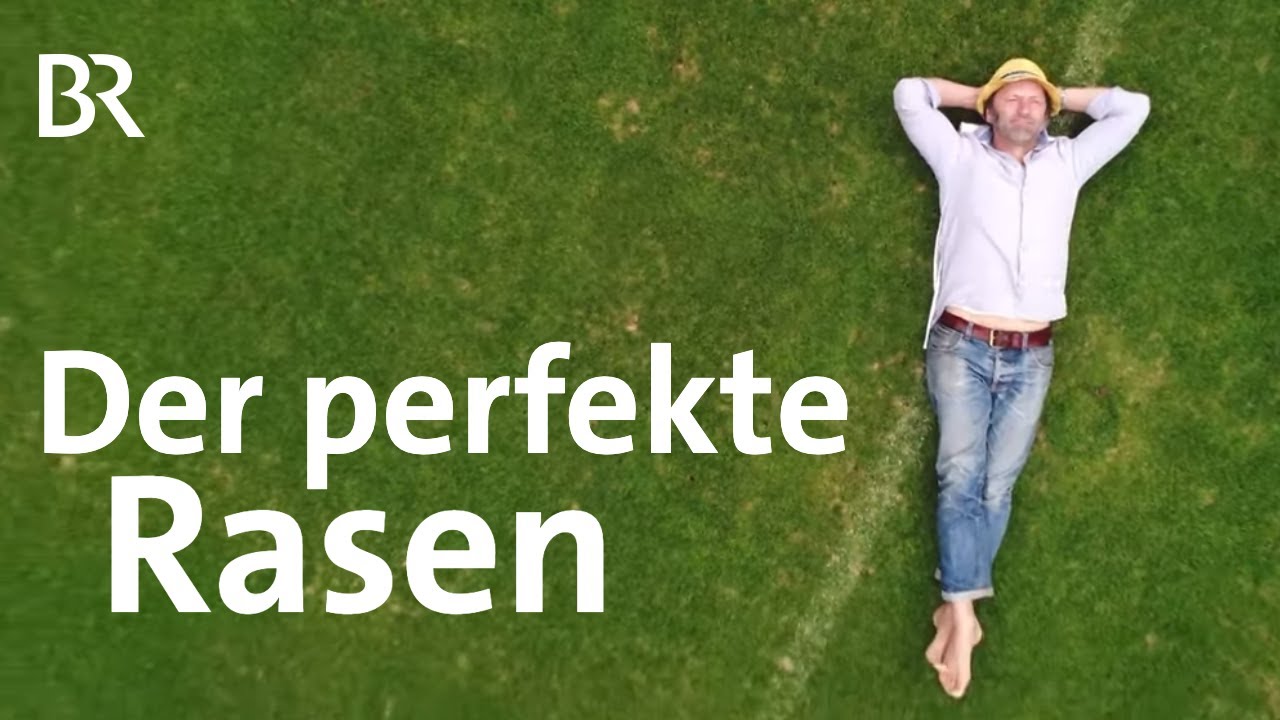 Säen, rollen, mähen: Der perfekte Rasen | Schmidt Max | freizeit | Doku | BR