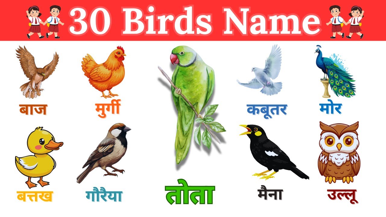 30 Birds Name 🦜 In English and Hindi With Picture | Name of Birds | पक्षियों के नाम | Kids Education