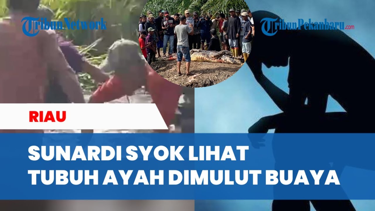 Anak Korban Syok Lihat Tubuh Ayah Diterkam Buaya saat Mancing di Parit di Riau