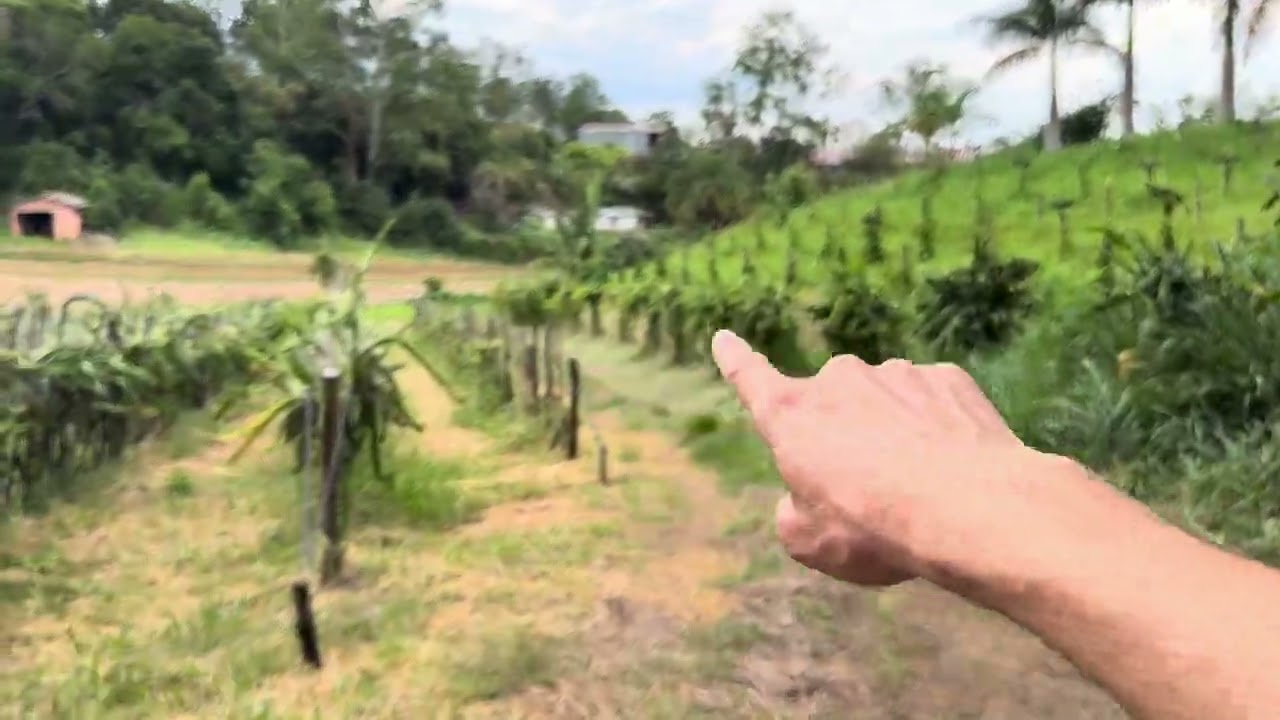 Vamos Mudar não da mais 