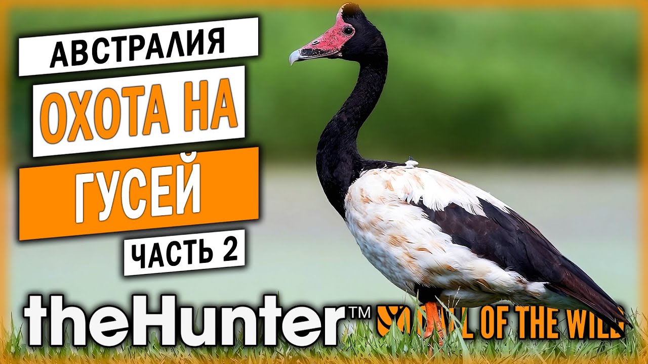 ОХОТА НА ПОЛУЛАПЧАТОГО ГУСЯ! | Emerald Coast | theHunter Call of the Wild 🐊 | Часть #2