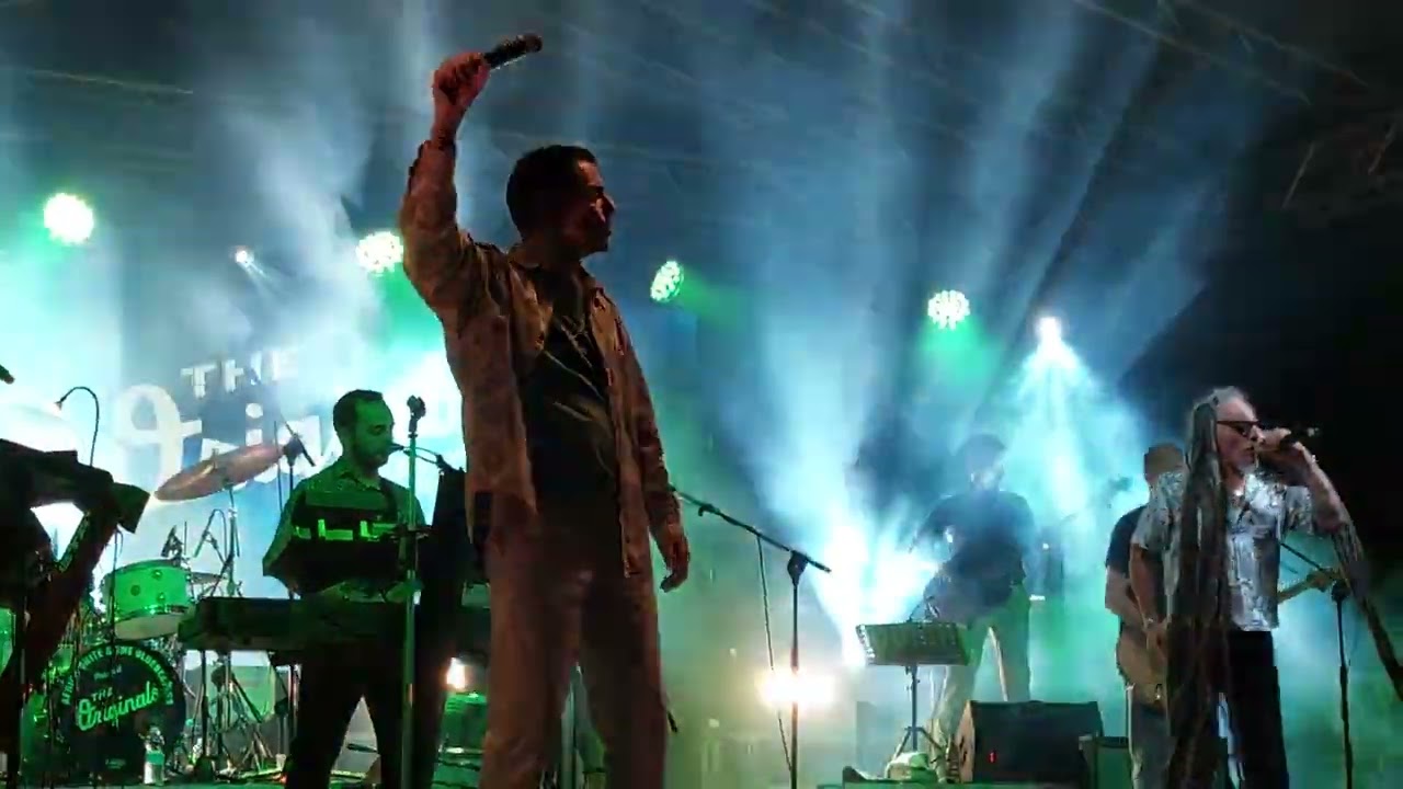 The Originals live @ Kaptura festival : 