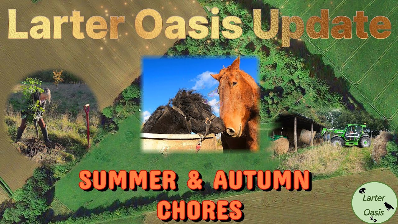UK Smallholding, Summer & Autumn Chores at Larter Oasis