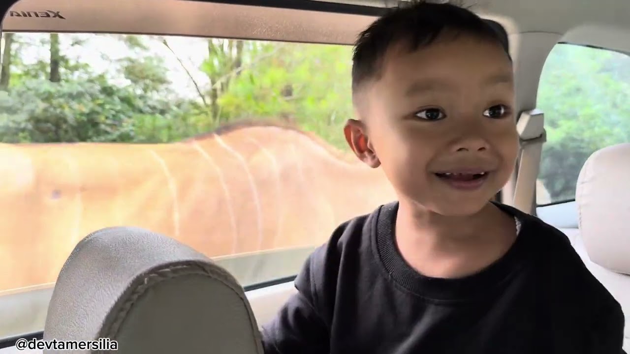 Memberi makan hewan di Taman Safari Bogor Jawa Barat 