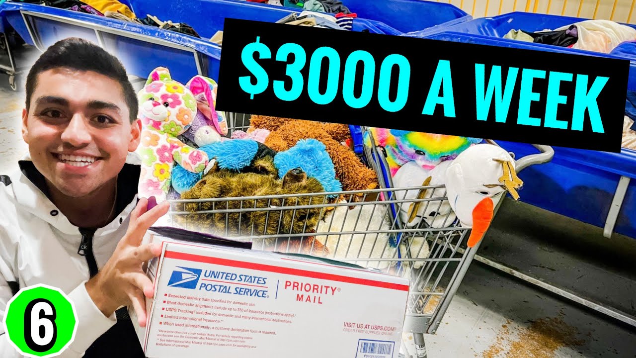 You Can Make $3000 A Week Flipping Items From The Goodwill Bins