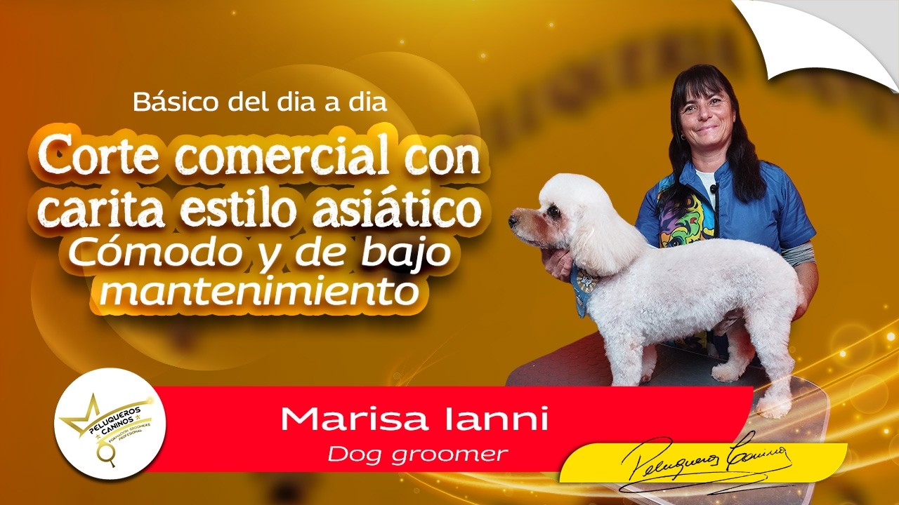 Corte de pelo con maquina a un perro Corte comercial pet Aprender Peluquería canina #grooming #perro