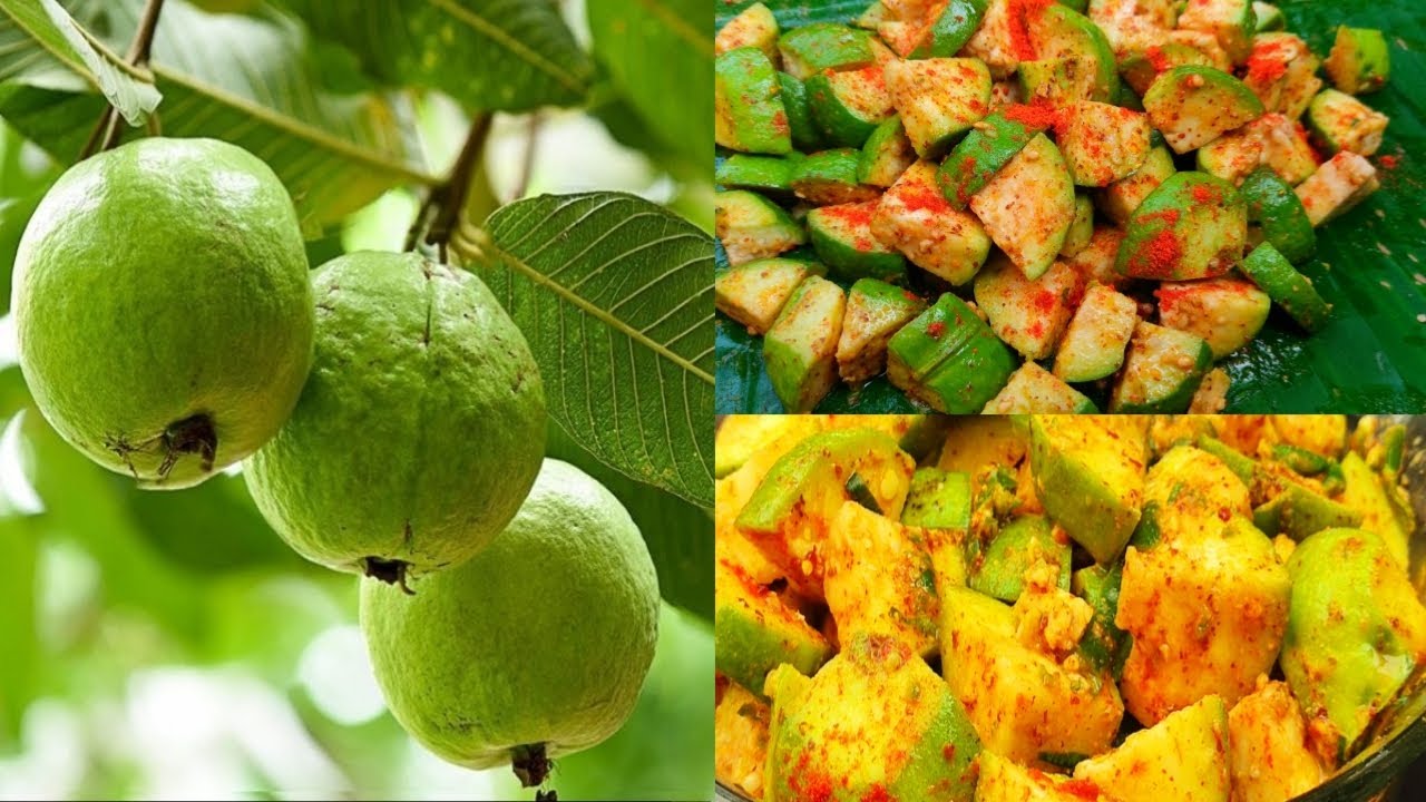 পেয়ারা মাখা তো অনেক খেয়েছো একবার এই ভাবে ট্রাই করে দেখো স্বাদ মুখে লেগে থাকবে আজীবন|Masala guava