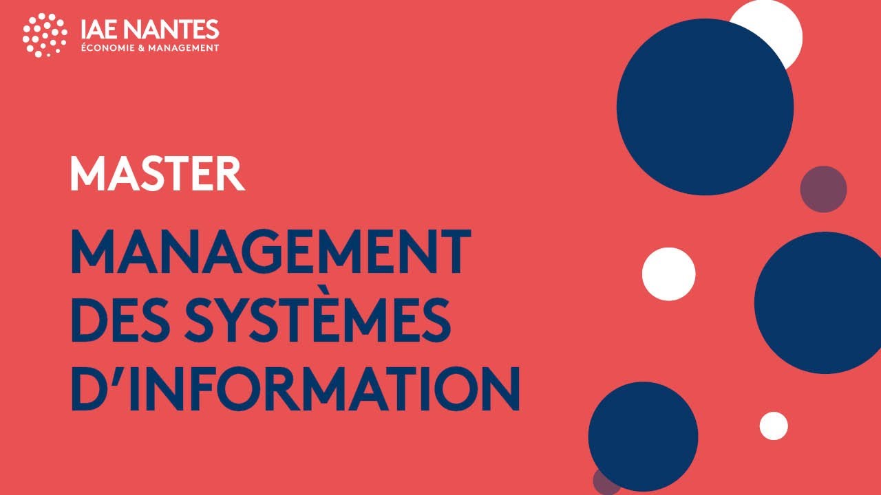 Master Management des systèmes d'information - Parcours MSI